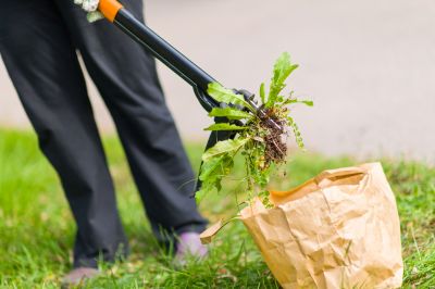 Garden Deweeding Service