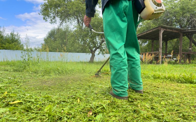 Weed Removal Service