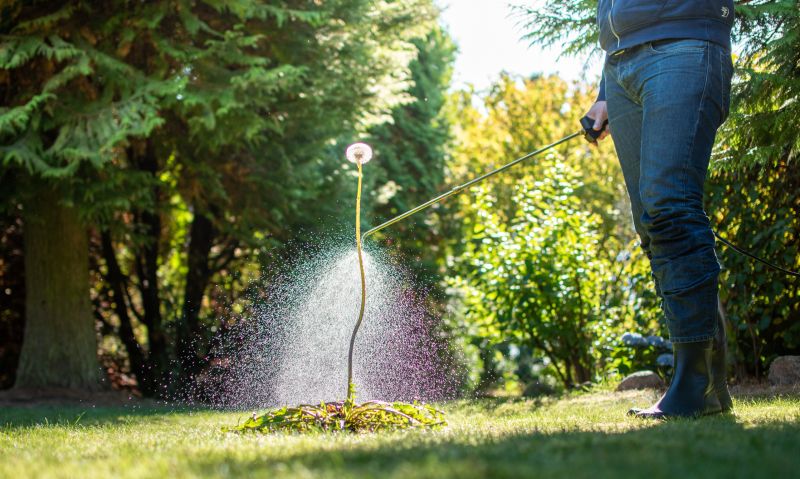 Cost of Weed Removal Service — Cost of Weed Removal Service